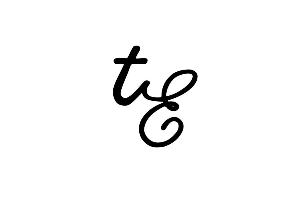 TE logo explorations